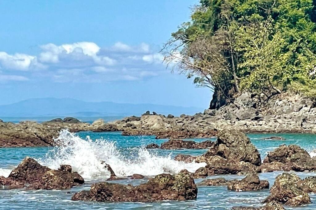 Holiday home An Abundance Of Wildlife At Jungle Glory Abajo Manuel Antonio