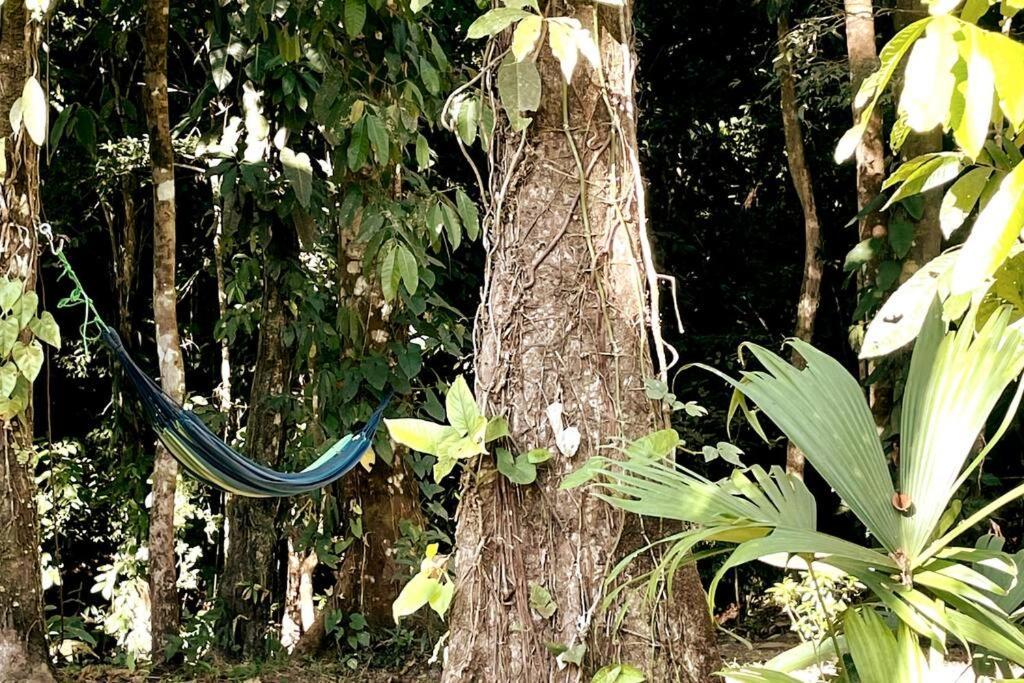 An Abundance Of Wildlife At Jungle Glory Abajo Holiday home