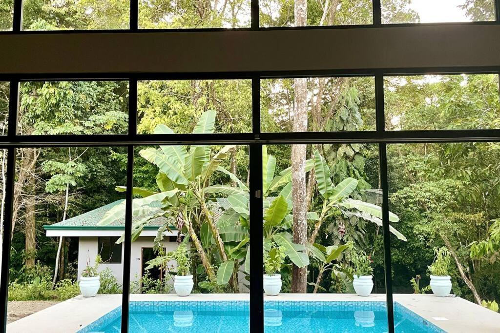 An Abundance Of Wildlife At Jungle Glory Abajo Holiday home Manuel Antonio