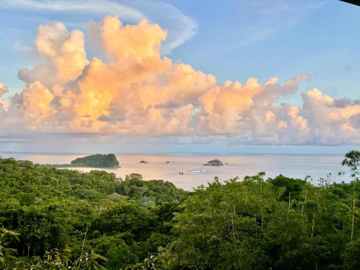 An Abundance Of Wildlife At Jungle Glory Abajo * Manuel Antonio