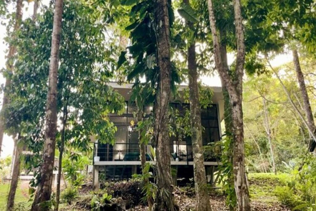 An Abundance Of Wildlife At Jungle Glory Abajo